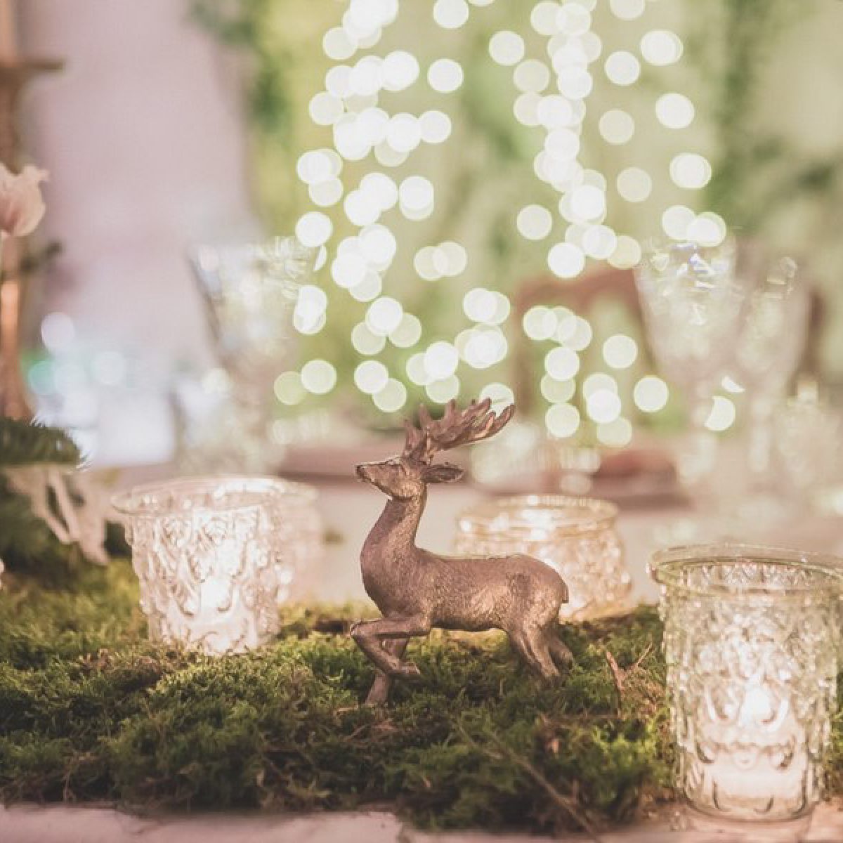 A Winter Fairytale - Apollinare Catering