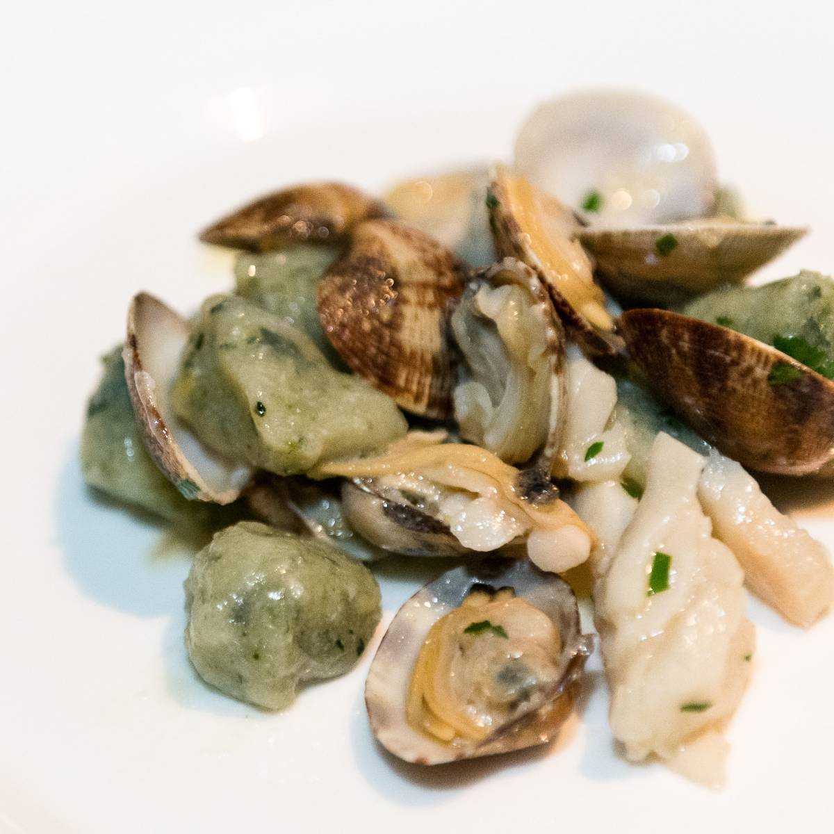 Gnocchi di borragine con vongole capesante al profumo di limone - Apollinare Catering